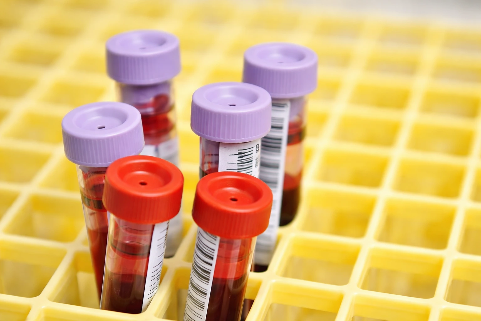 Professional doctor providing home healthcare service in Dubai UAE