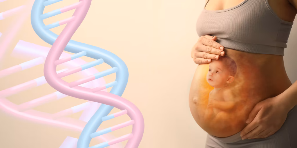 NIPT test Dubai DHA-licensed nurse home blood sample collection pregnant mother
